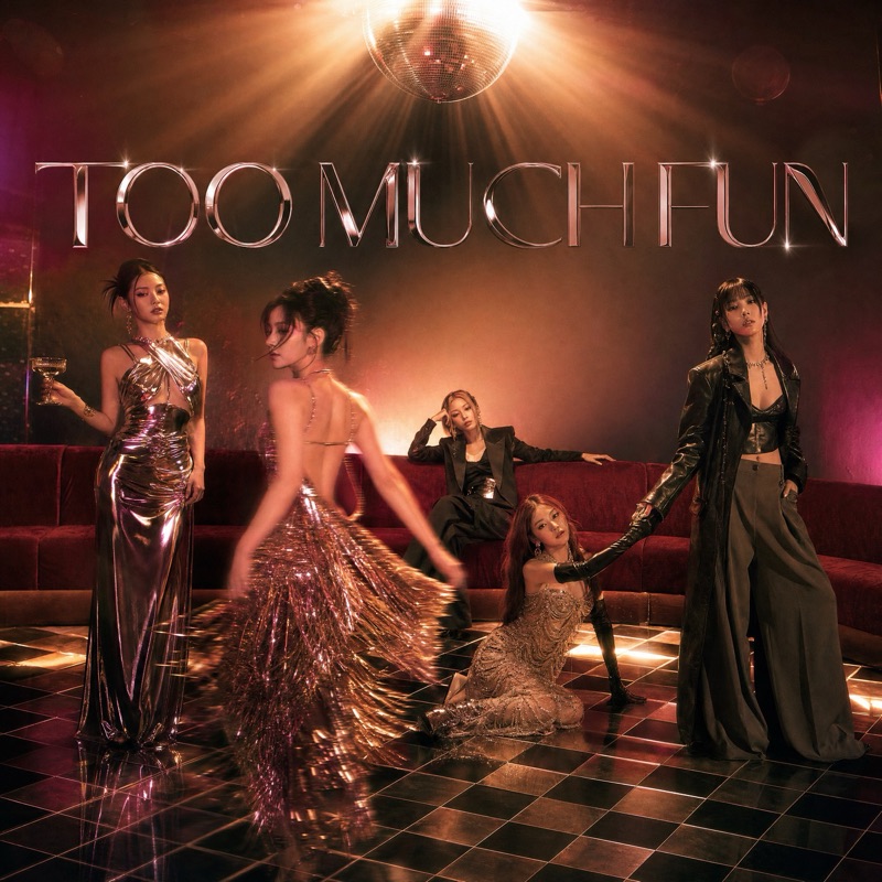 TOO MUCH FUN artwork