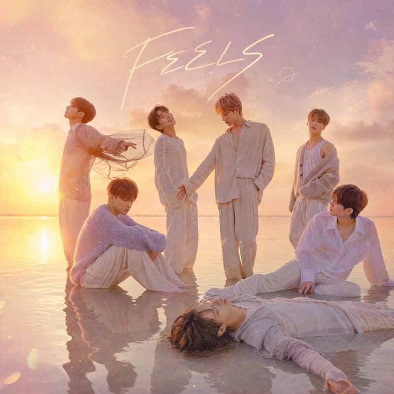 FEELS artwork